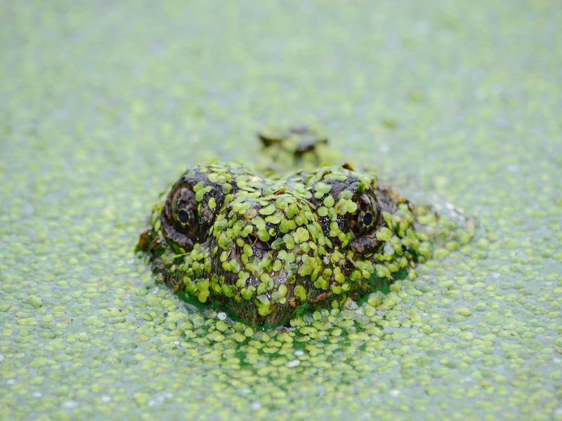 索拉里斯海<br>lyd4nhjn.cn 液态记忆星球